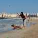 Sulla spiaggia una ragazza gioca con il suo cane 